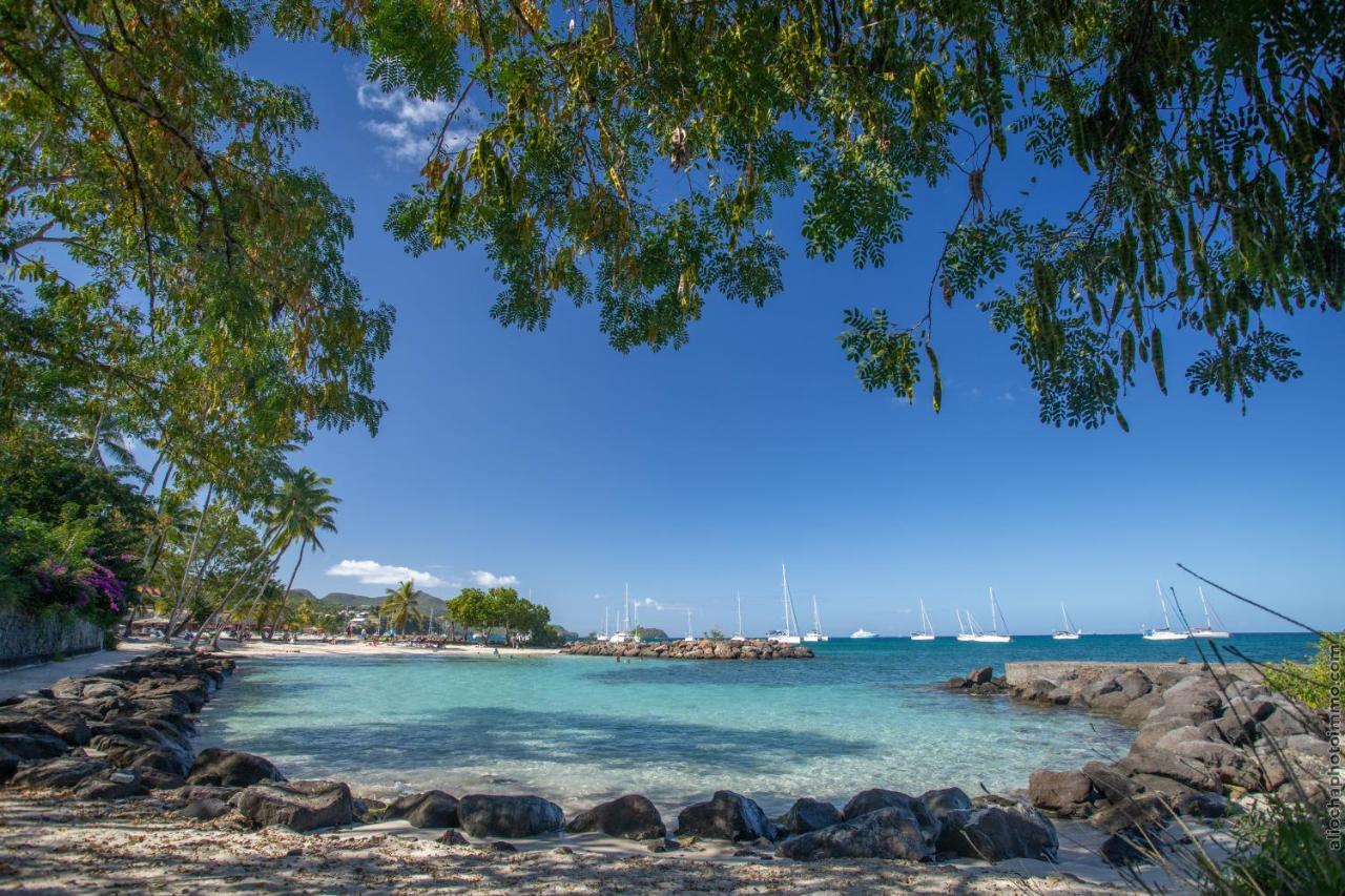 T2 Pitaya, Trois-Ilets Vue Mer Les Trois-Ilets Exteriér fotografie